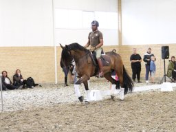 IMG_1551_web